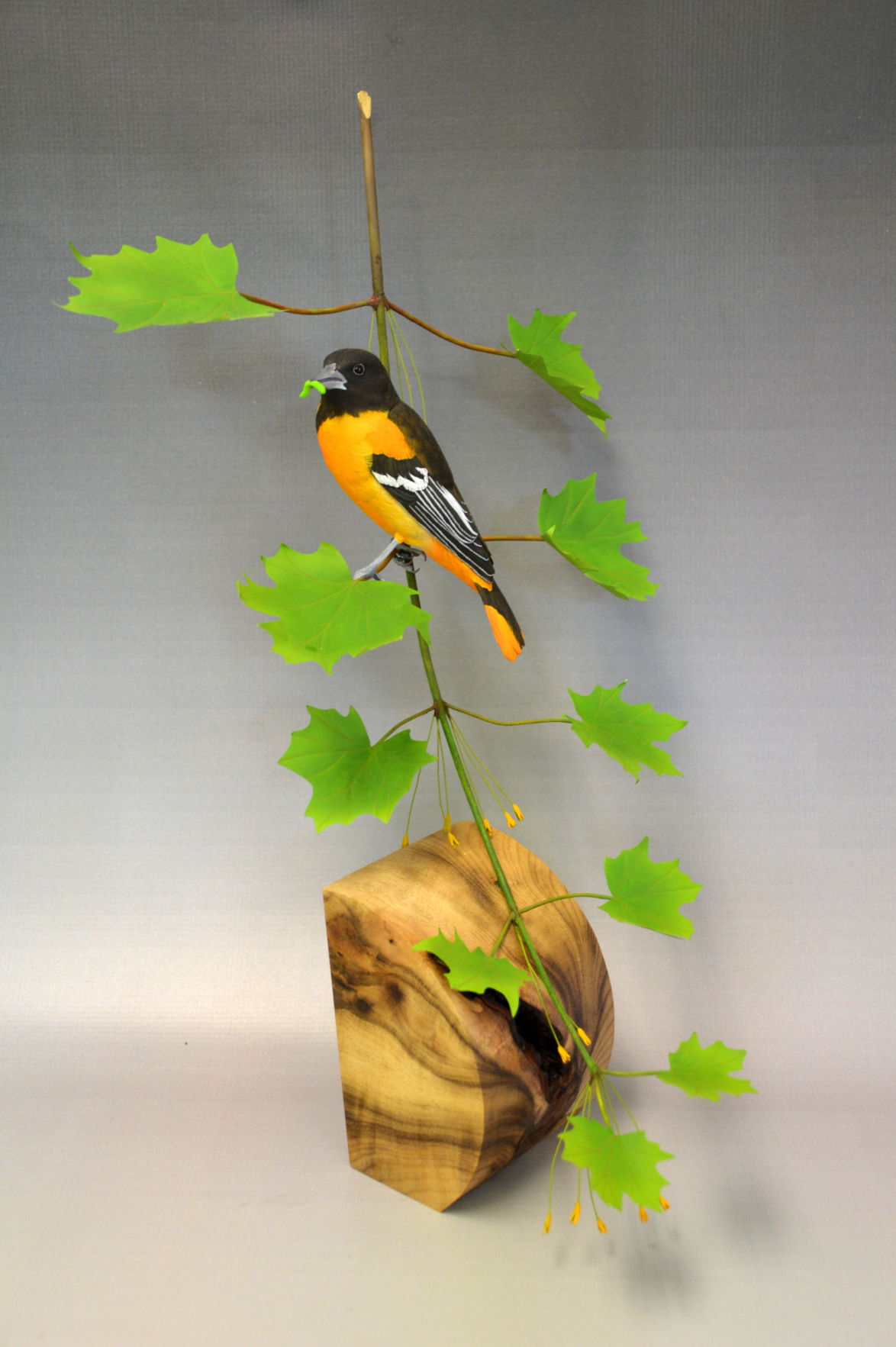 m15 art story Baltimore Oriole by Al Jordan.JPG